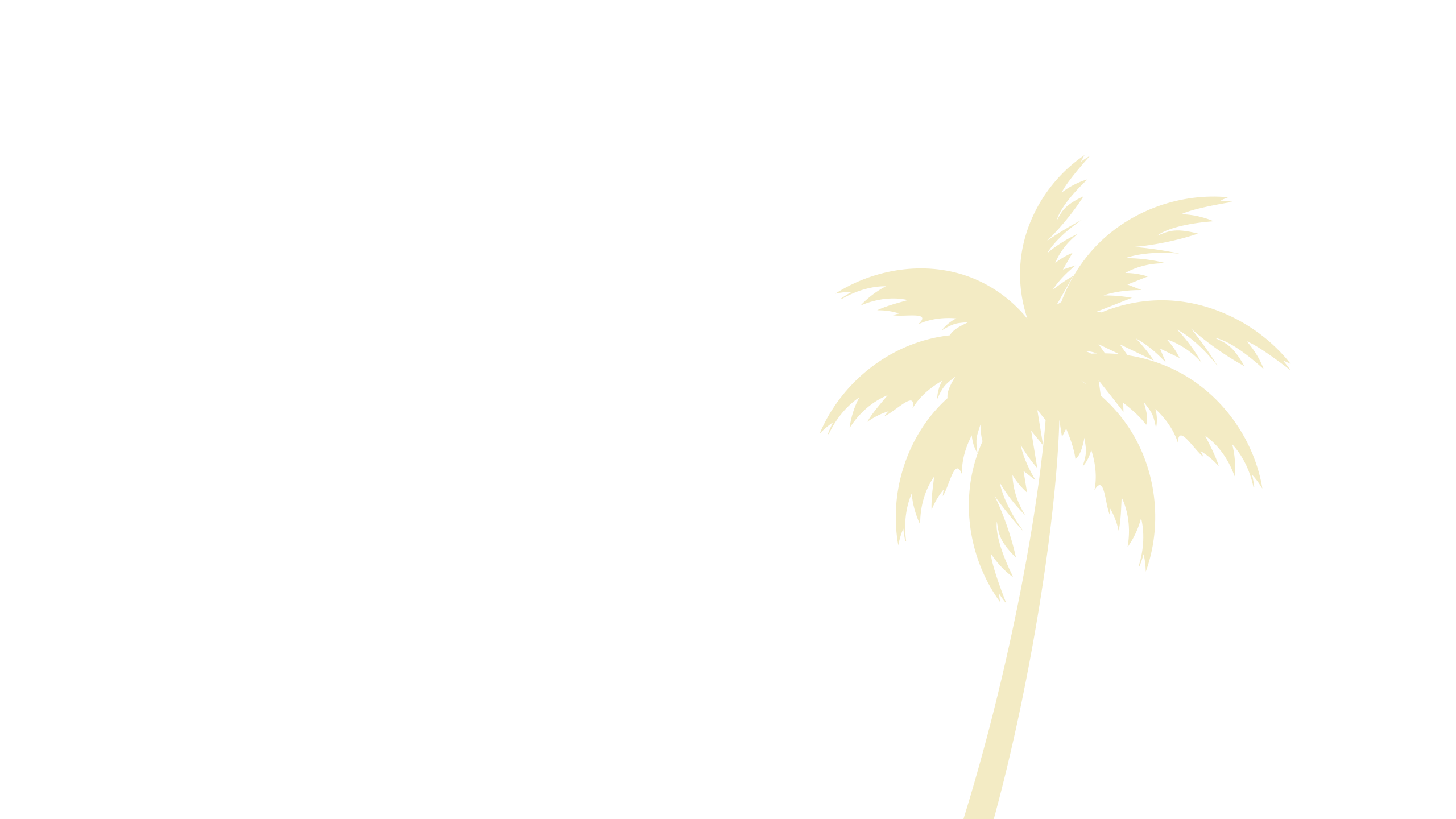 Silhouette of a palm tree